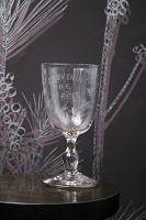 Wine glass