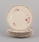 Arabia, 
Finland.
A set of nine 
‘Myrna’ lunch 
plates in ...