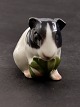 Middelfart 
Antik presents: 
Bing & 
Grøndahl 
figurine, 
guinea pig 2499