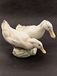 Middelfart 
Antik presents: 

Royal 
Copenhagen 
ducks #412