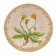 Aabenraa 
Antikvitetshandel 
presents: 
Royal 
Copenhagen 
Flora Danica 
bowl #3505. 
"Leontodon 
hirtum Müll". 
Year ...