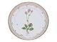 Antik K 
presents: 
Flora 
Danica
Luncheon plate 
22 cm. #3572