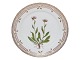 Antik K 
presents: 
Flora 
Danica
Luncheon plate 
22 cm. #3572