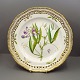 Royal 
Copenhagen, 
Flora Danica; 
Dinner plate 
#3553