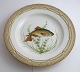 Lundin Antique 
presents: 
Royal 
Copenhagen. 
Fauna Danica. 
Fish Plate. 
Dinner plate. 
Model # 19 - 
3549. Diameter 
...