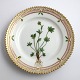Lundin Antique 
presents: 
Royal 
Copenhagen, 
Flora Danica. 
Cake plate. 
Design # 3552. 
Diameter 14,5 
cm. (1 ...