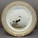 Antik Damgaard-Lauritsen presents: Royal Copenhagen, Flora Danica Animal; Dinnerplate 25,5 cm No. 3549