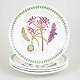 Portmeirion England, set of 4 dinner plates.