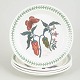 Portmeirion England, set of 4 lunch plates.