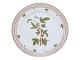 Flora DanicaLuncheon plate 22 cm. #3550