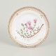 L'Art presents: Royal Copenhagen Flora Danica plate.