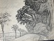 Tegning af Erick Struckmann - Allé træer.