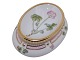 Antik K presents: Flora DanicaSalt jar