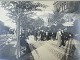 Moster Olga - Antik og Design presents: Framed photo from Copenhagen*DKK 225