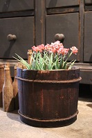 item no: 644227