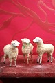 K&Co. presents: Old Matchstick sheep / Putz sheep with fine patina...