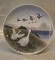 Klosterkælderen presents: Royal Copenhagen Bird plate 1508-1125 Plate geese 25 cm