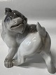 Antik Huset presents: Royal Copenhagen figurine, English Bulldog.No. 1452 - 2963.
