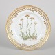 Royal Copenhagen, Flora Danica plate.