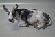 Dahl Jensen figurine
1234 Cow lying (DJ) 20 cm