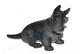 Royal Copenhagen Figure, Scottish Terrier