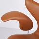 sub: 6