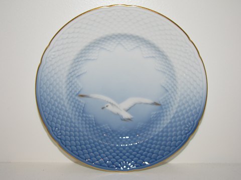 Seagull<br>With gold edge