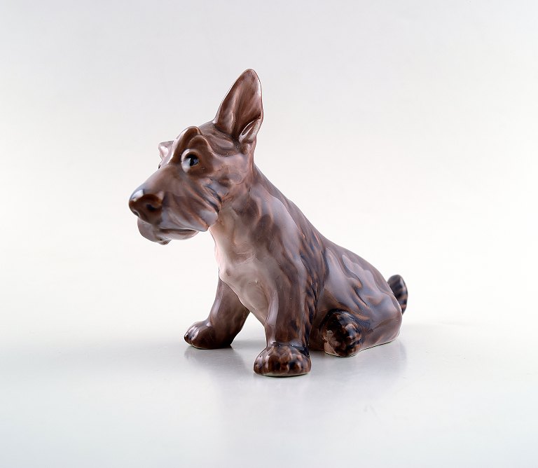 Dahl Jensen dog no. 1094, Small Scottish Terrier.
