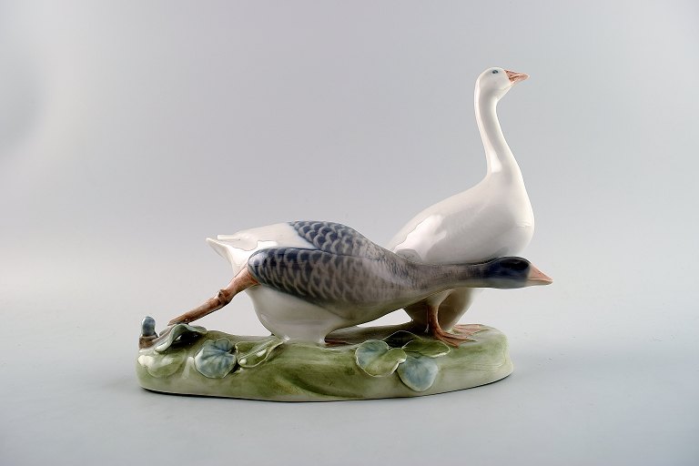 Royal Copenhagen figurine, 2 geese, no. 609, from 1953. Rare figure.
