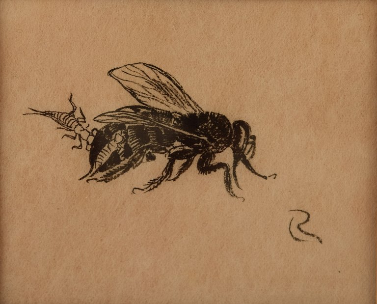 Leif Rydeng: b. Elsinore 1913 d., 1975.
Study of wasps.
