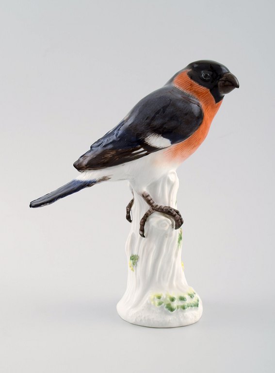 Meissen figure, bird in porcelain.
