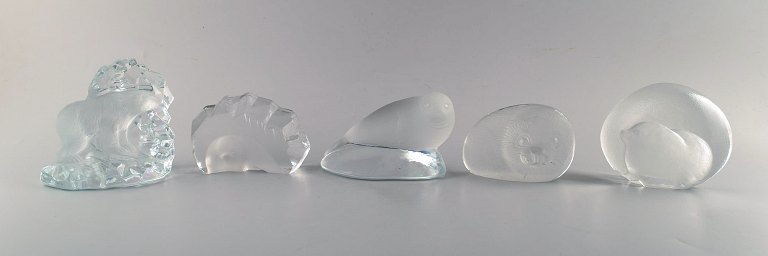 A collection of 5 art glass sculptures with arctic animal motifs. Designed by 
Mats Johansson among others. Swedish design, 1980