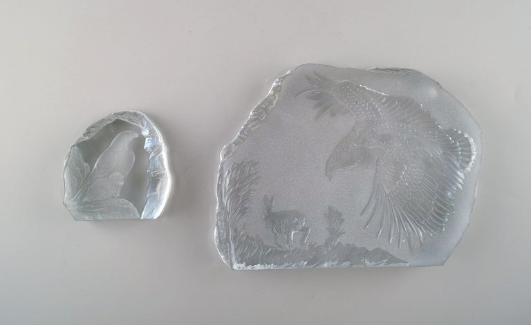 Paul Hoff for Swedish Glass et al. 2 glass blocks with motifs of birds of prey 
made of art glass. WWF. World wildlife foundation.