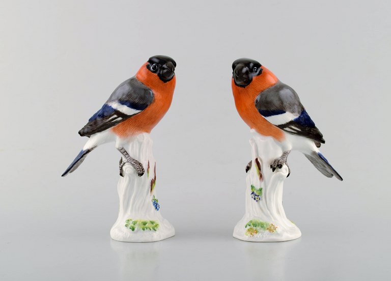 A pair of Meissen porcelain figurines. Bullfinch. Model Number 899. 1930