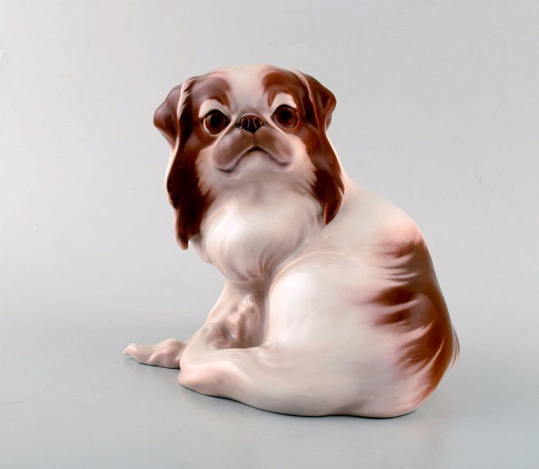 Rare Bing & Grondahl / B&G figurine in porcelain. Pekingese.
Model number 1637.