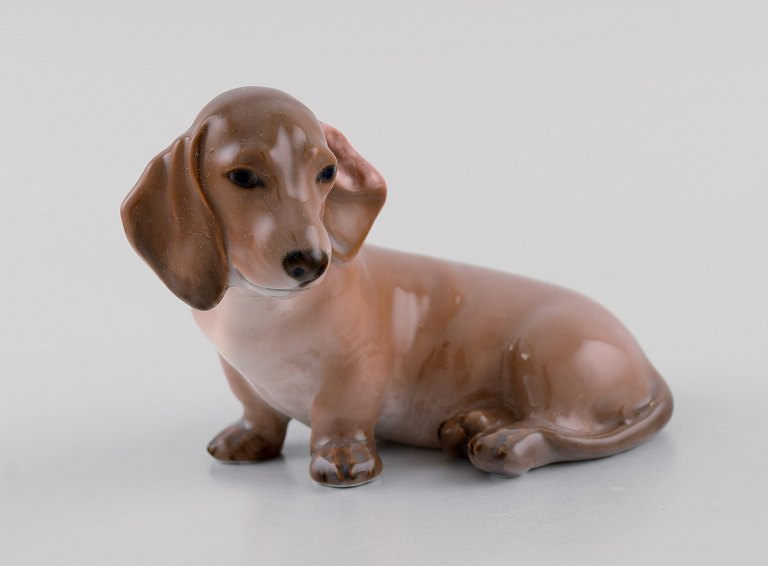 Royal Copenhagen porcelain figurine. Dachshund. Early 20th century. Model number 
3140.
