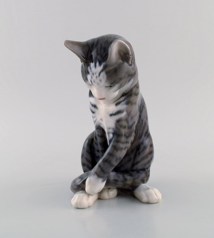 Erik Nielsen for Royal Copenhagen. Porcelænsfigur. Gråstribet kat. Modelnummer 
1025/340. Dateret 1950.
