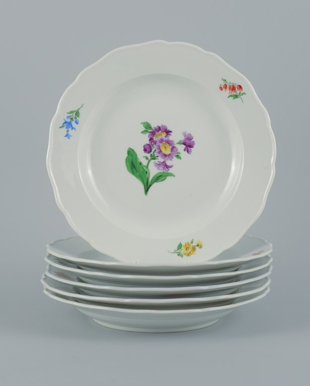 Meissen, Tyskland, seks middagstallerkner håndmalet med blomstermotiver i 
forskellige farver.