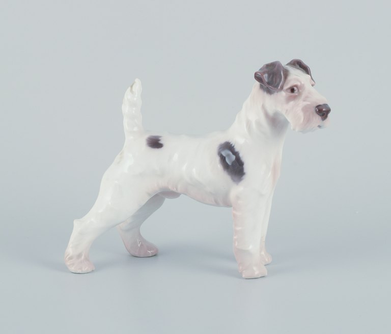 Bing & Grøndahl, porcelain figurine of a Wire Fox Terrier.