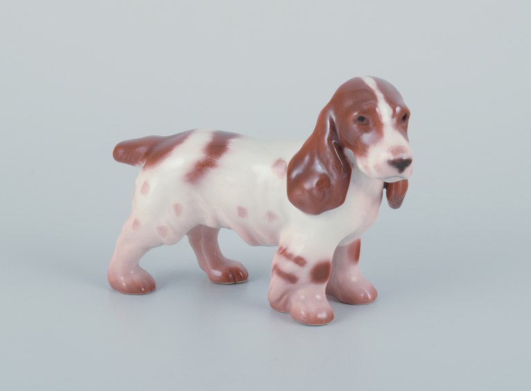 Bing & Grøndahl, porcelain figurine of a Cocker Spaniel.