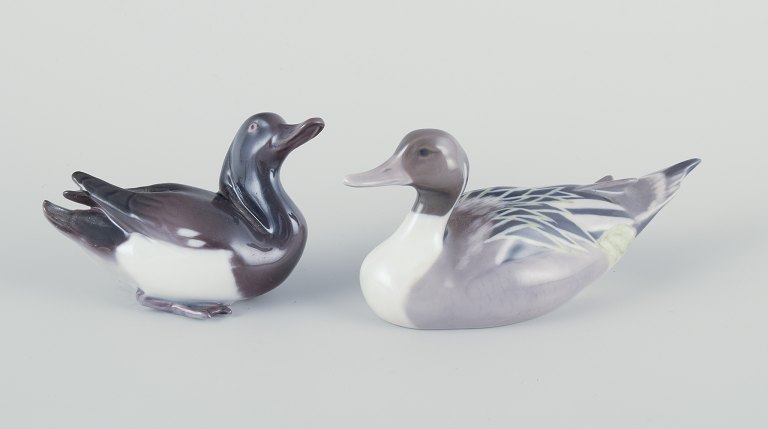 Bing & Grøndahl and Royal Copenhagen, two porcelain ducks.