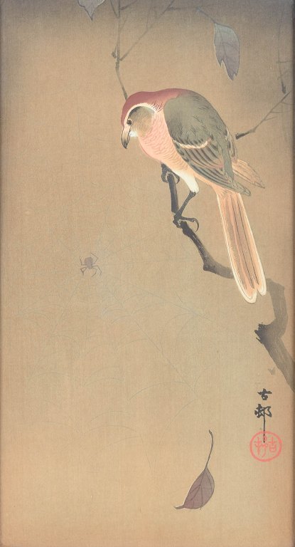 Ohara Koson (1877–1945), The Bird and the Spider.
Japan