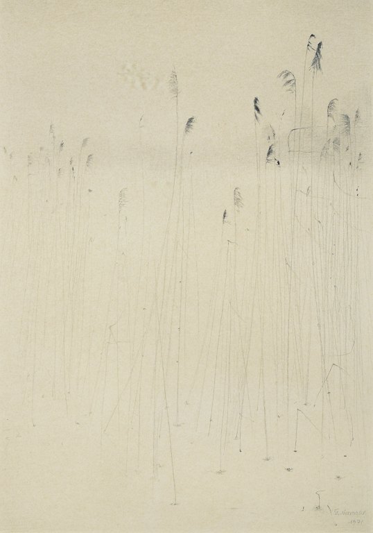 Gunnar Norrman, Sweden.
“Vinterstrån”, 1971.
Pencil on paper.