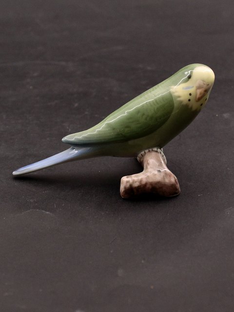 B&G green budgie