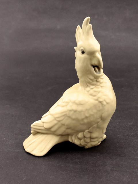 Royal Copenhagen cockatoo 55/65