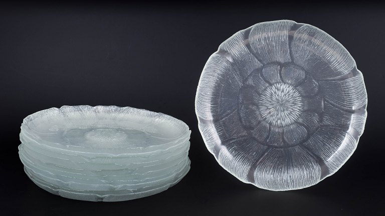 Arcoroc, "Fleur", set of eleven large dinner plates.