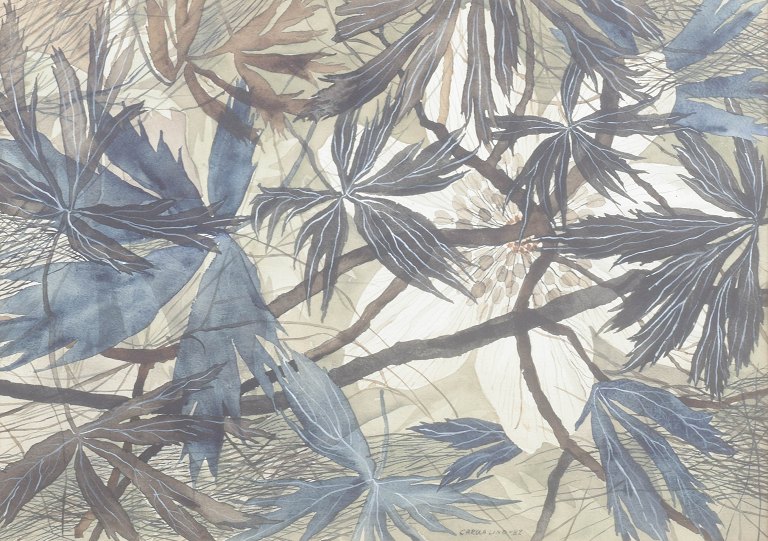 Carola Lind, “Vitsippan”, watercolour on paper.